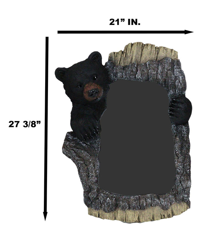 Ebros Gift Large 27" H Western Rustic Forest Black Bear Holding A Tree Branch Wall Mirror