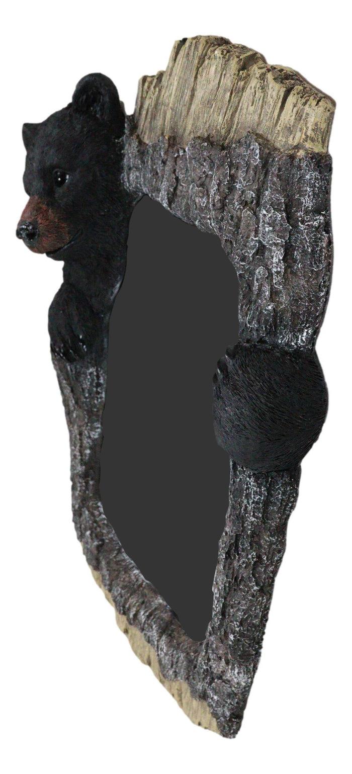 Ebros Gift Large 27" H Western Rustic Forest Black Bear Holding A Tree Branch Wall Mirror