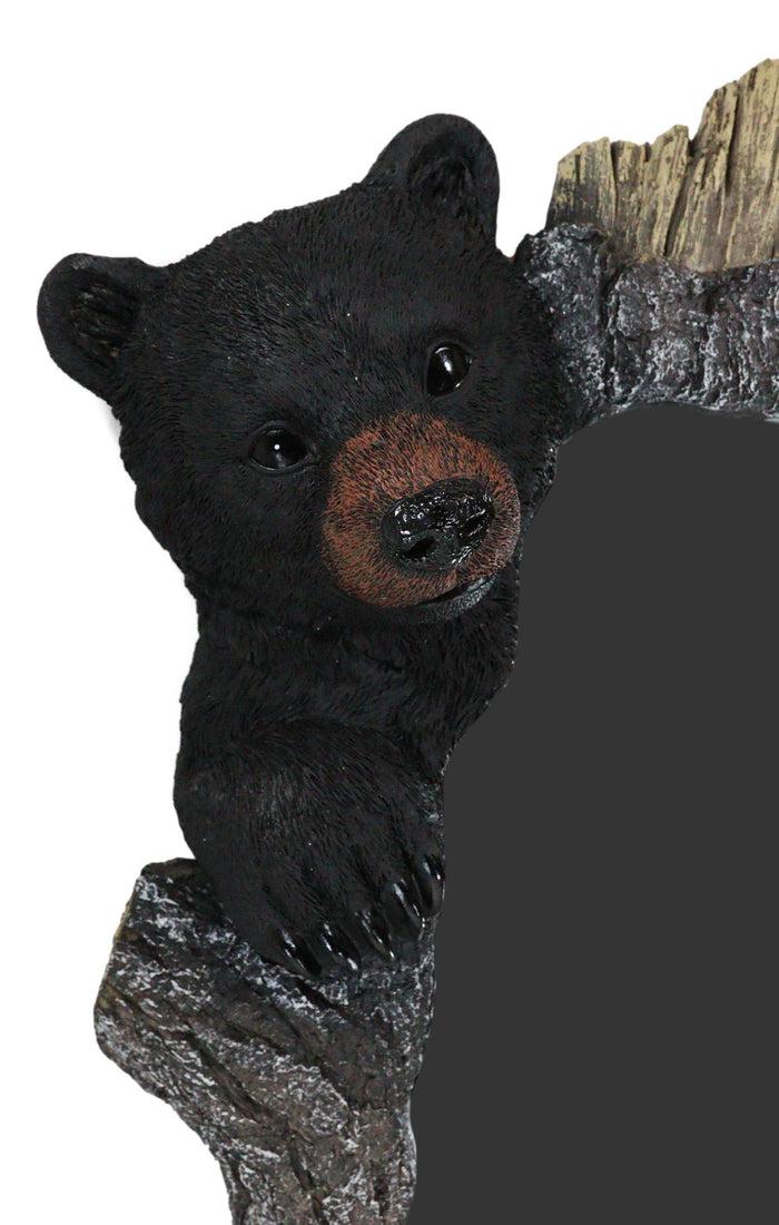 Ebros Gift Large 27" H Western Rustic Forest Black Bear Holding A Tree Branch Wall Mirror