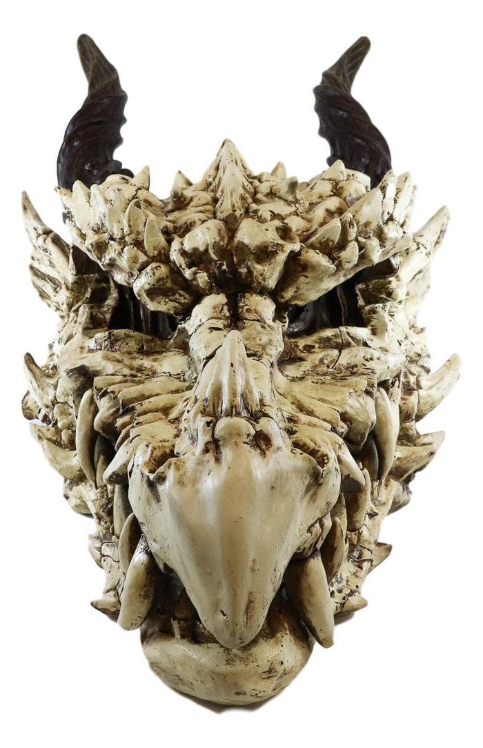 Ebros Gift Large 27" Long Dragon Fossil Skull With Horns Mighty Grendel Resin Home Decor Figurine