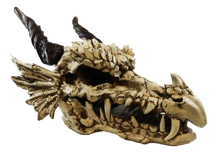 Ebros Gift Large 27" Long Dragon Fossil Skull With Horns Mighty Grendel Resin Home Decor Figurine