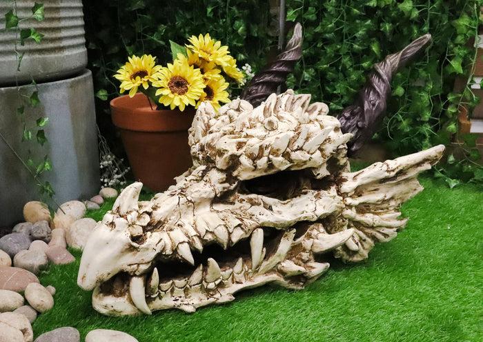 ebros gift Large 27" Long Dragon Fossil Skull With Horns Mighty Grendel Resin Home Decor Figurine