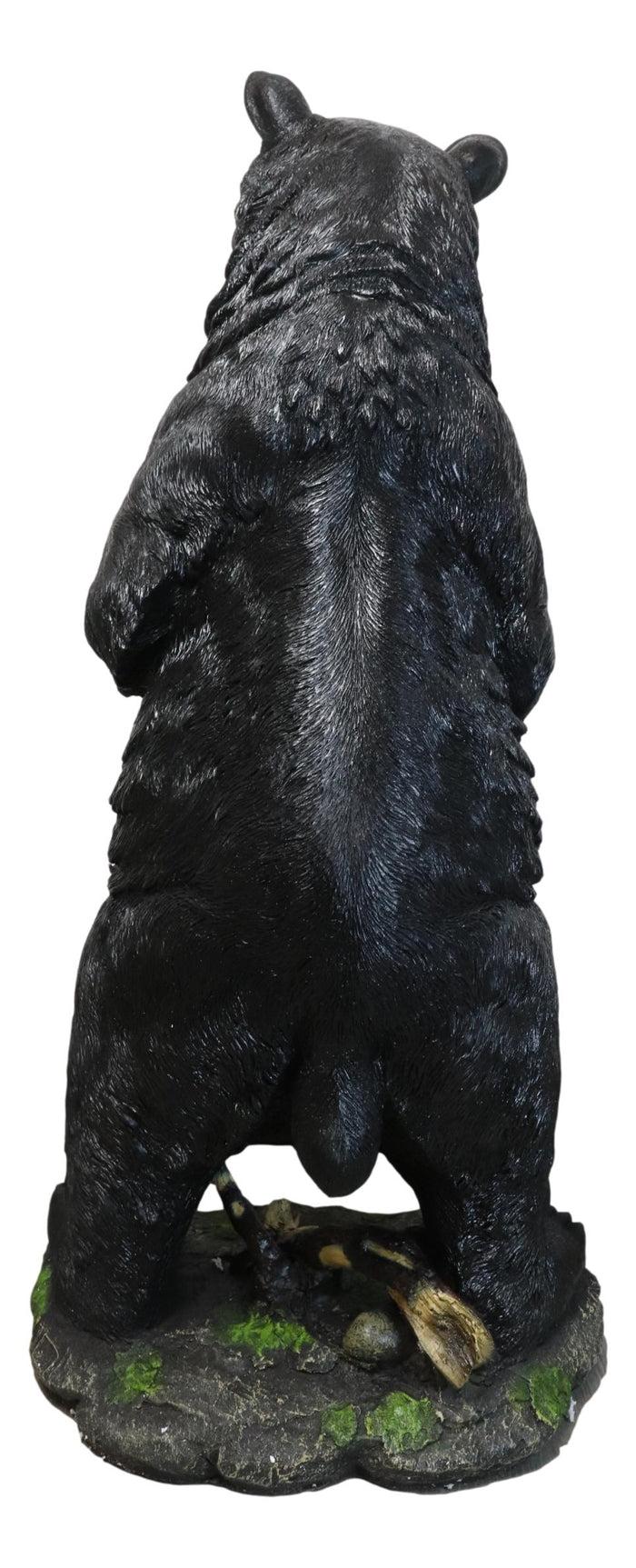 Ebros Gift Large 31"H Western Rustic Forest Standing Black Bear Statue Cabin Lodge Accent