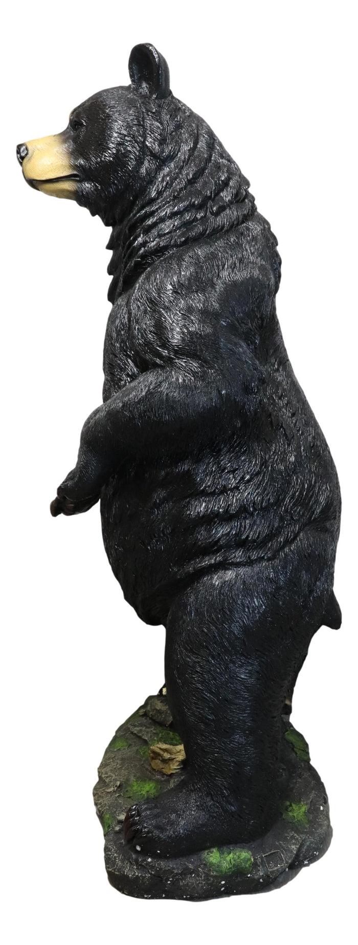 Ebros Gift Large 31"H Western Rustic Forest Standing Black Bear Statue Cabin Lodge Accent
