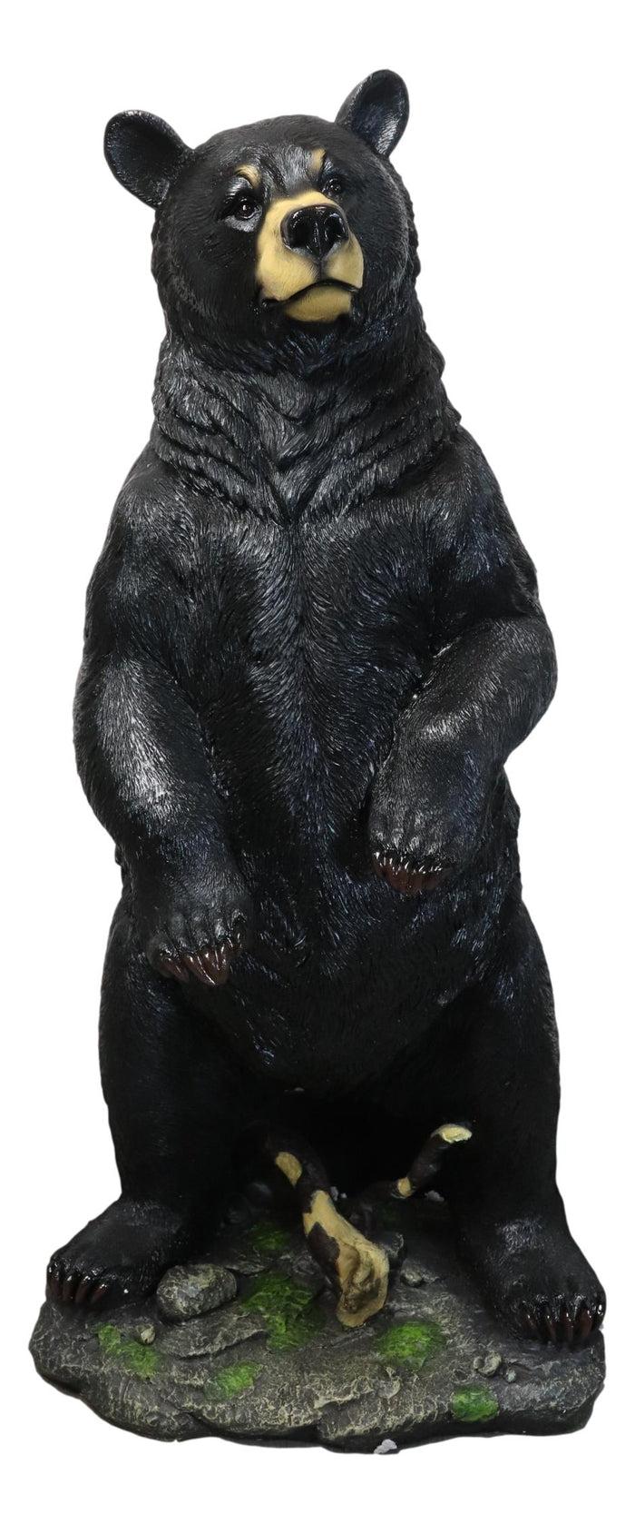 Ebros Gift Large 31"H Western Rustic Forest Standing Black Bear Statue Cabin Lodge Accent