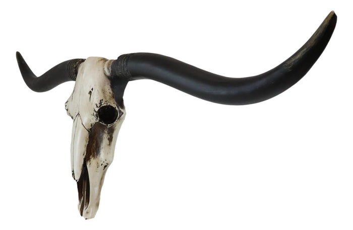 Ebros Gift Large 36"L Rustic Western Longhorn Steer Cow Skull Wall Head Decor Plaque