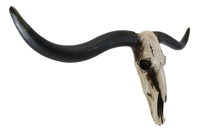 Ebros Gift Large 36"L Rustic Western Longhorn Steer Cow Skull Wall Head Decor Plaque
