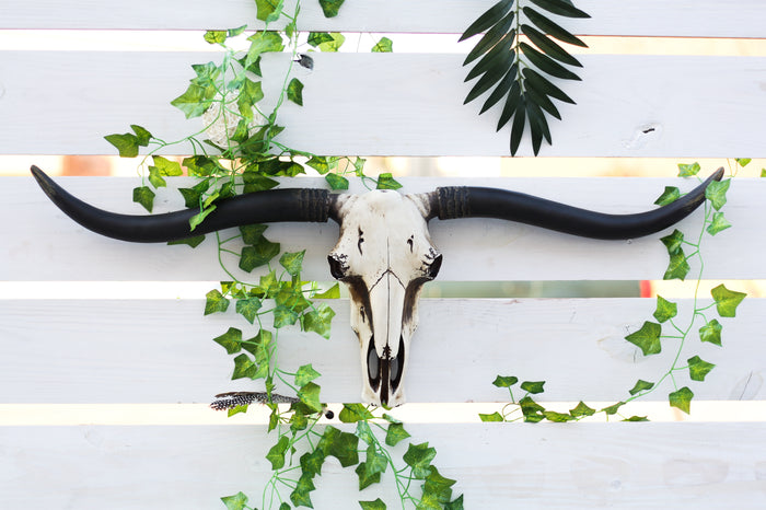 ebros gift Large 36"L Rustic Western Longhorn Steer Cow Skull Wall Head Decor Plaque