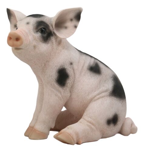 Ebros Gift Large Adorable Realistic Animal Farm Babe Spotted Pig Piglet Statue 9"H Decor