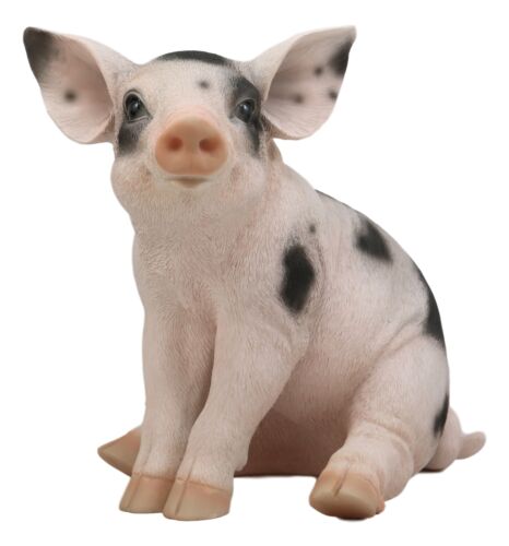 Ebros Gift Large Adorable Realistic Animal Farm Babe Spotted Pig Piglet Statue 9"H Decor