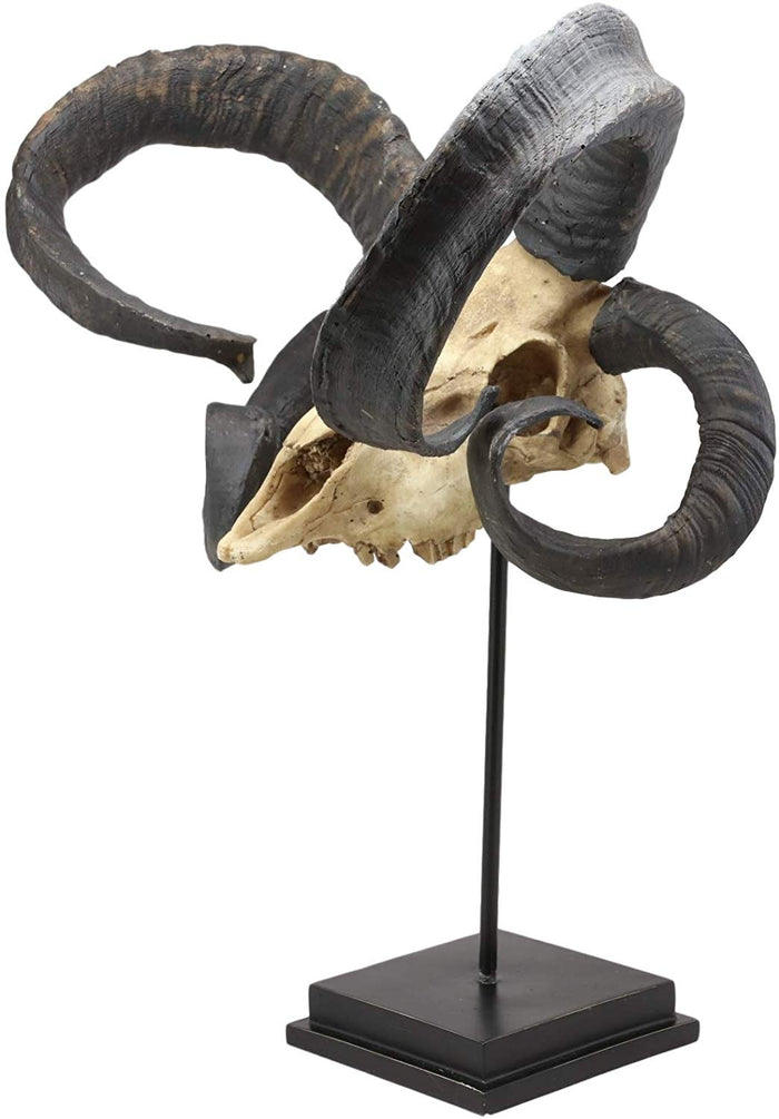 Ebros Gift Large Alien Mutated Quad Horns Ram Skull Sculpture On Museum Base Stand 17.25"H