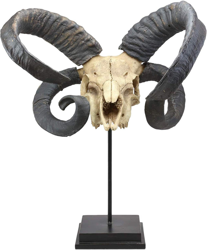 Ebros Gift Large Alien Mutated Quad Horns Ram Skull Sculpture On Museum Base Stand 17.25"H