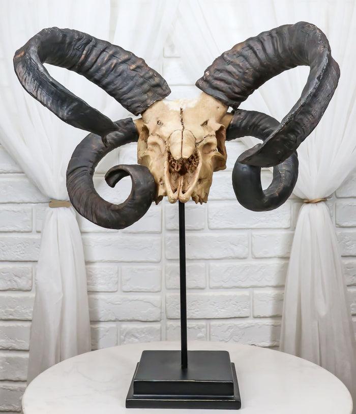 ebros gift Large Alien Mutated Quad Horns Ram Skull Sculpture On Museum Base Stand 17.25"H