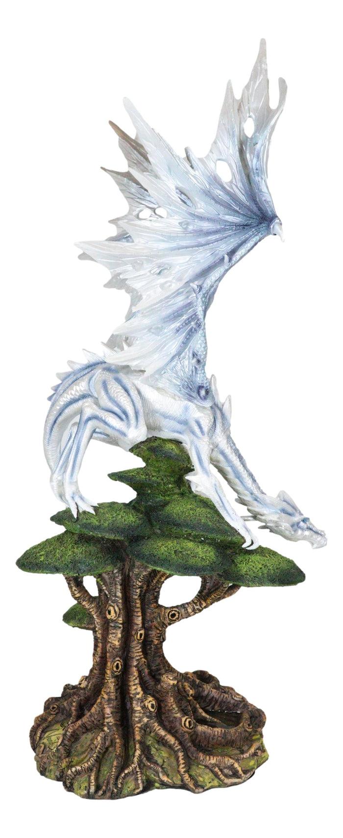 Ebros Gift Large Arctic Frost Fury Dragon Perching On Rainforest Giant Tree Canopy Figurine