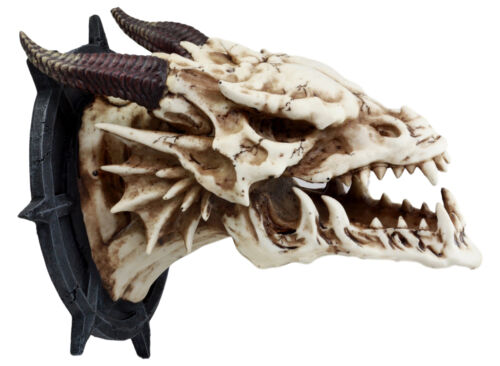 Ebros Gift Large Chained Horned Dragon Skull Wall Trophy Decor Saint George Slain Dragon
