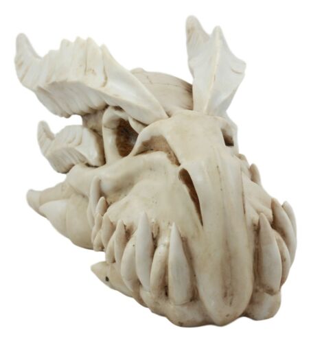 Ebros Gift Large Dragon Fossil Skull Statue 14.5"L Archaeology Dragon Skeleton Wall Decor