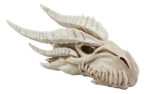 Ebros Gift Large Dragon Fossil Skull Statue 14.5"L Archaeology Dragon Skeleton Wall Decor