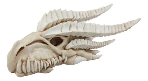 Ebros Gift Large Dragon Fossil Skull Statue 14.5"L Archaeology Dragon Skeleton Wall Decor