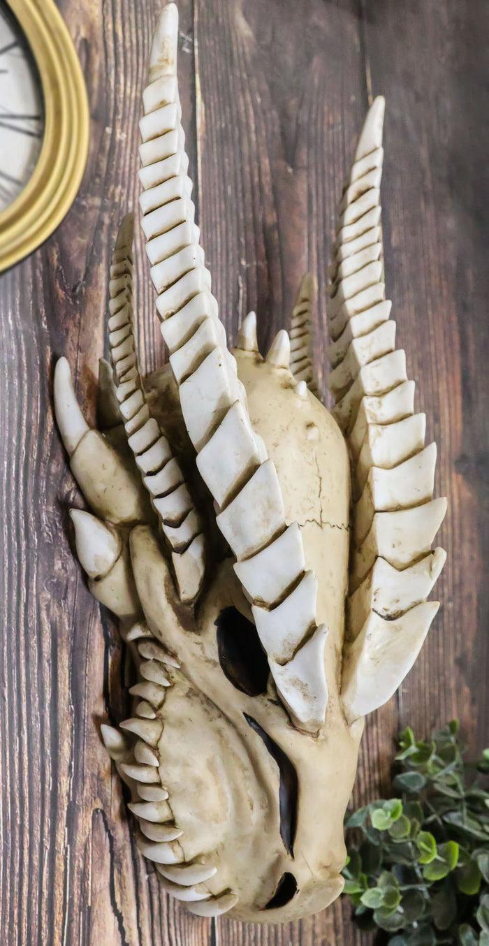 ebros gift Large Dragon Fossil Skull Statue 14.5"L Archaeology Dragon Skeleton Wall Decor