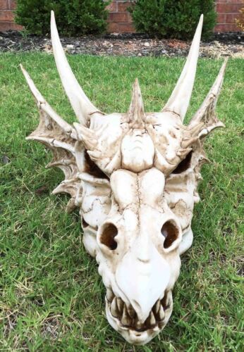 Ebros Gift Large Elder Dragon Skull Statue Legendary Erathia Fossil Skeleton 18"L Figurine