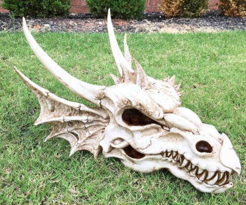 Ebros Gift Large Elder Dragon Skull Statue Legendary Erathia Fossil Skeleton 18"L Figurine