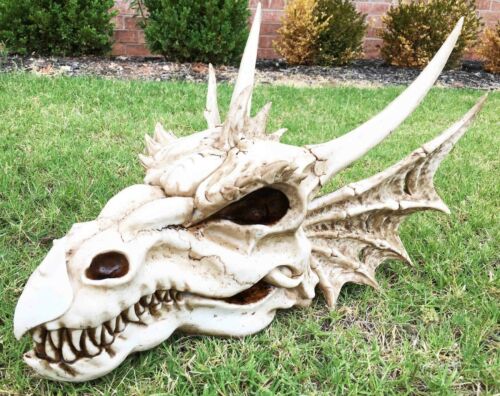 Ebros Gift Large Elder Dragon Skull Statue Legendary Erathia Fossil Skeleton 18"L Figurine