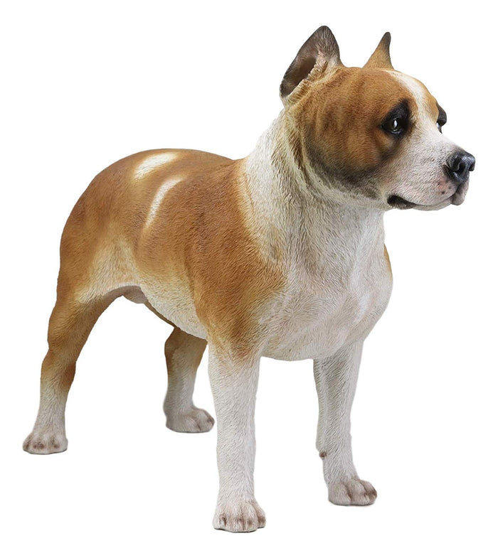 Ebros Gift Large Lifelike Realistic American Pit Bull Terrier Dog Statue 21.75"L Decor
