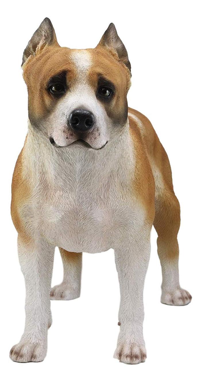 Ebros Gift Large Lifelike Realistic American Pit Bull Terrier Dog Statue 21.75"L Decor