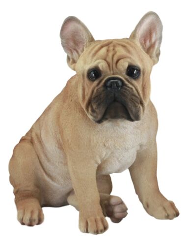Ebros Gift Large Lifelike Realistic French Bulldog Statue With Glass Eyes 15.75"H Frenchie