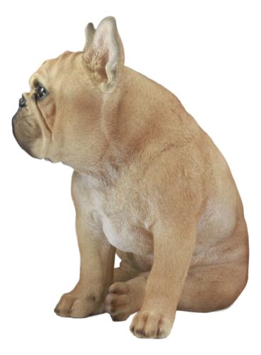 Ebros Gift Large Lifelike Realistic French Bulldog Statue With Glass Eyes 15.75"H Frenchie