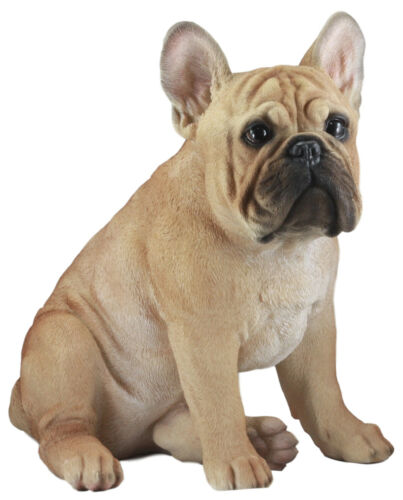 Ebros Gift Large Lifelike Realistic French Bulldog Statue With Glass Eyes 15.75"H Frenchie