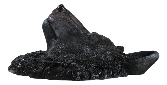 Ebros Gift Large Magnificent Black Bear Wall Head Taxidermy Replica Decor Plaque 23"Tall