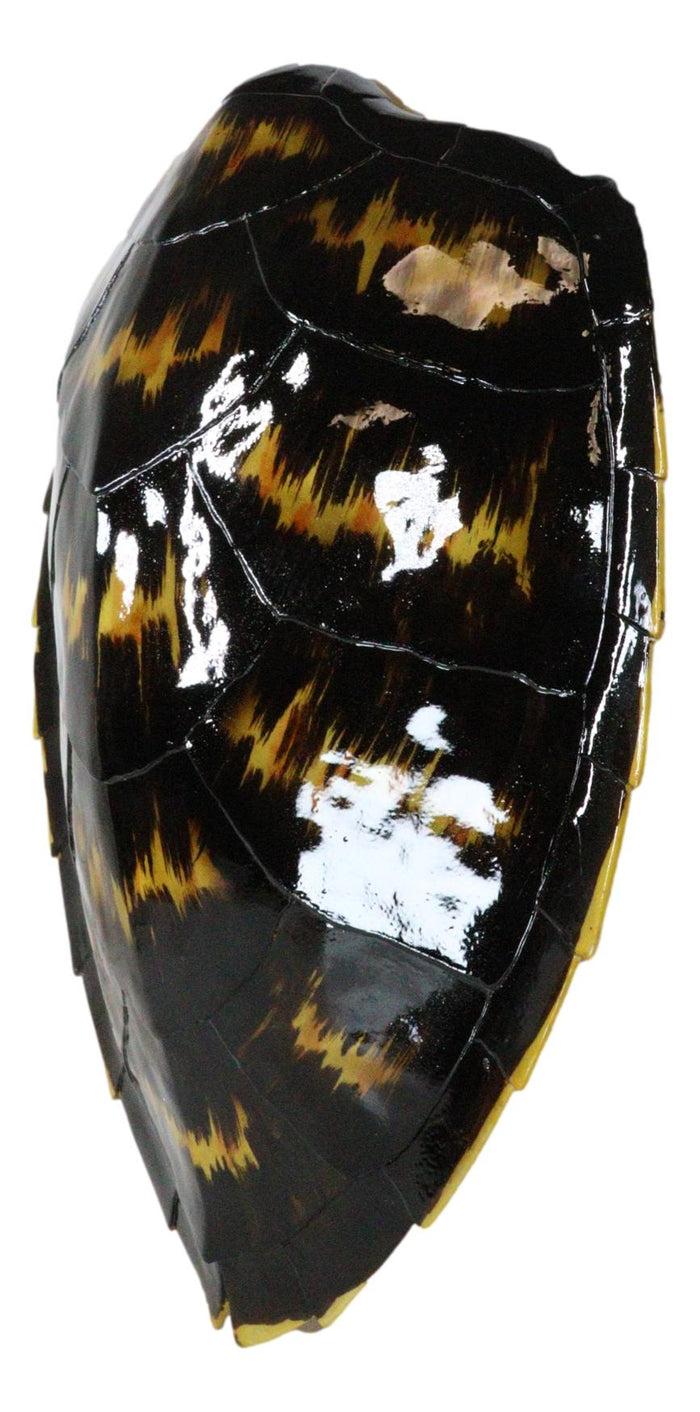 Ebros Gift Large Nautical Marine Black Tone Faux Hawksbill Turtle Shell Replica Wall Decor