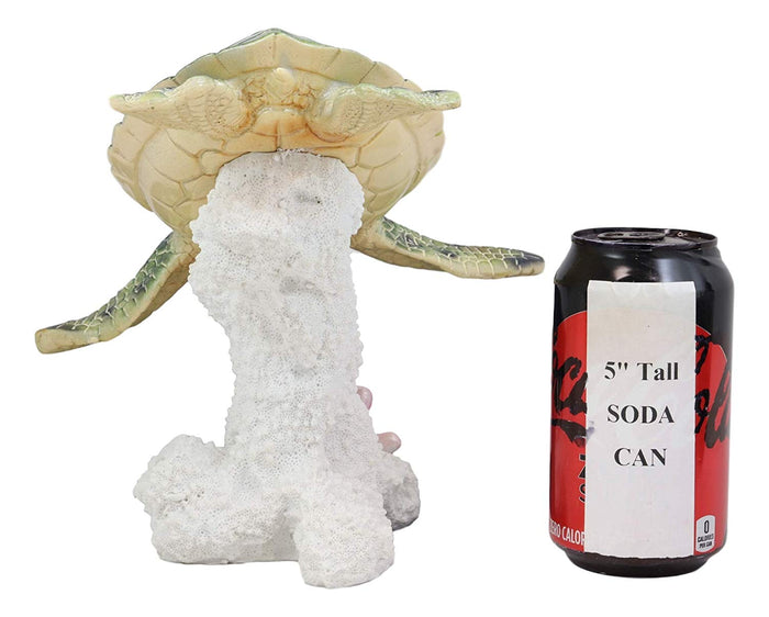 Ebros Gift Large Nautical Ocean Colorful Giant Sea Turtle Swimming By White Corals Statue
