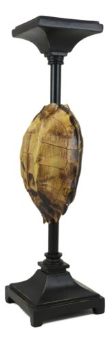 Ebros Gift Large Nautical Reptile Exotic Turtle Shell Pillar Candle Holder Statue 17"High
