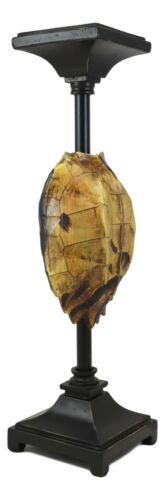 Ebros Gift Large Nautical Reptile Exotic Turtle Shell Pillar Candle Holder Statue 17"High