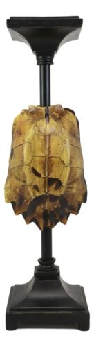 Ebros Gift Large Nautical Reptile Exotic Turtle Shell Pillar Candle Holder Statue 17"High