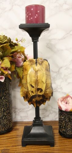 ebros gift Large Nautical Reptile Exotic Turtle Shell Pillar Candle Holder Statue 17"High