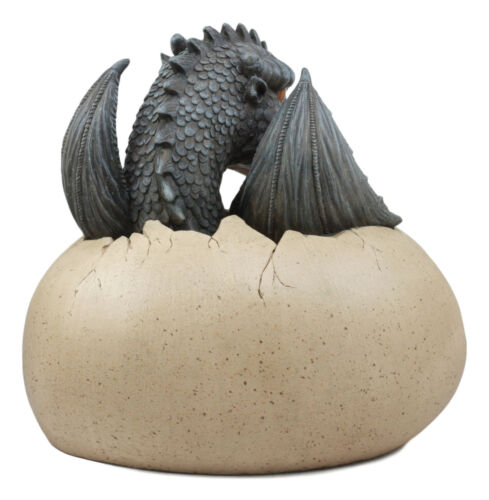 Ebros Gift Large Nightfury Baby Dragon Hatchling In Egg Statue 10"Long Legends And Fantasy