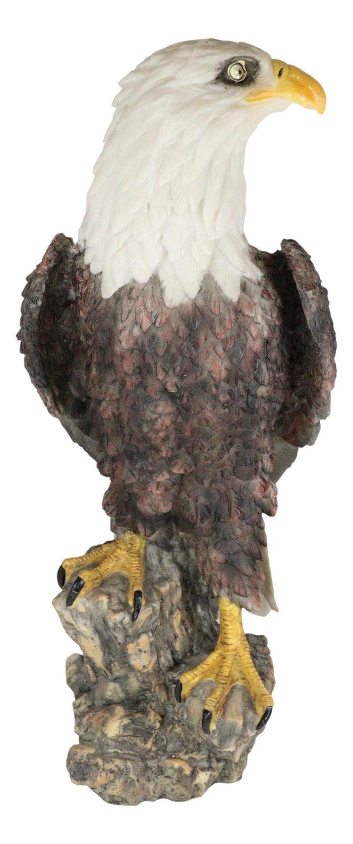 Ebros Gift Large Realistic American Bald Eagle Bird Perching On Rock Decorative Figurine