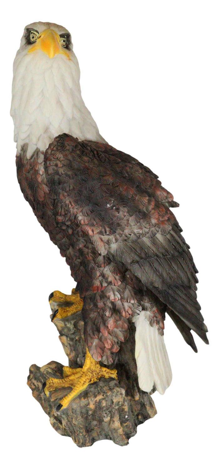 Ebros Gift Large Realistic American Bald Eagle Bird Perching On Rock Decorative Figurine