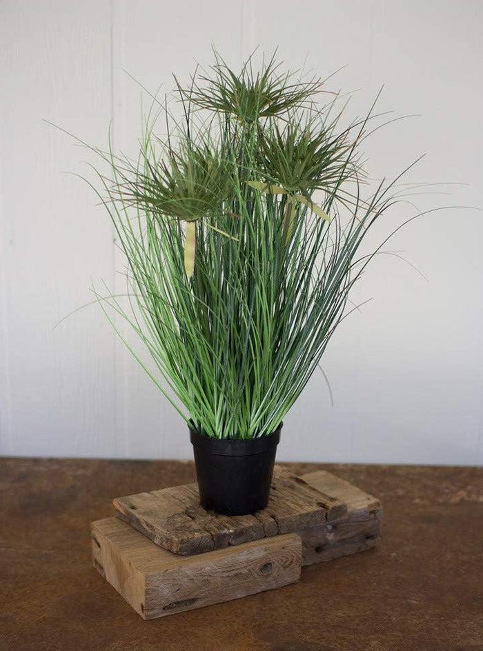 ebros gift Large Realistic Lifelike Artificial Cyprus Grass Plant In Black Pot Botanica