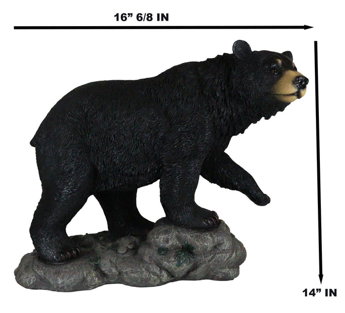 Ebros Gift Large Realistic Strolling Black Bear Statue 16.5"L Rustic Cabin Decor Figurine