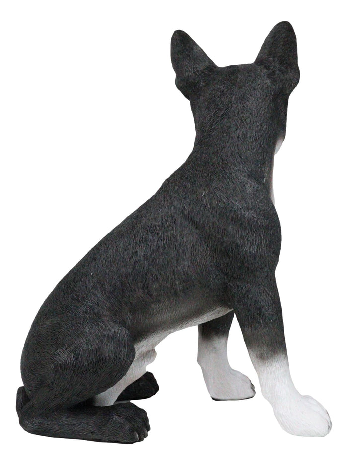 Ebros Gift Large Realistic Tuxedo Boston Terrier Statue 15"Tall Animal Dog Collectible