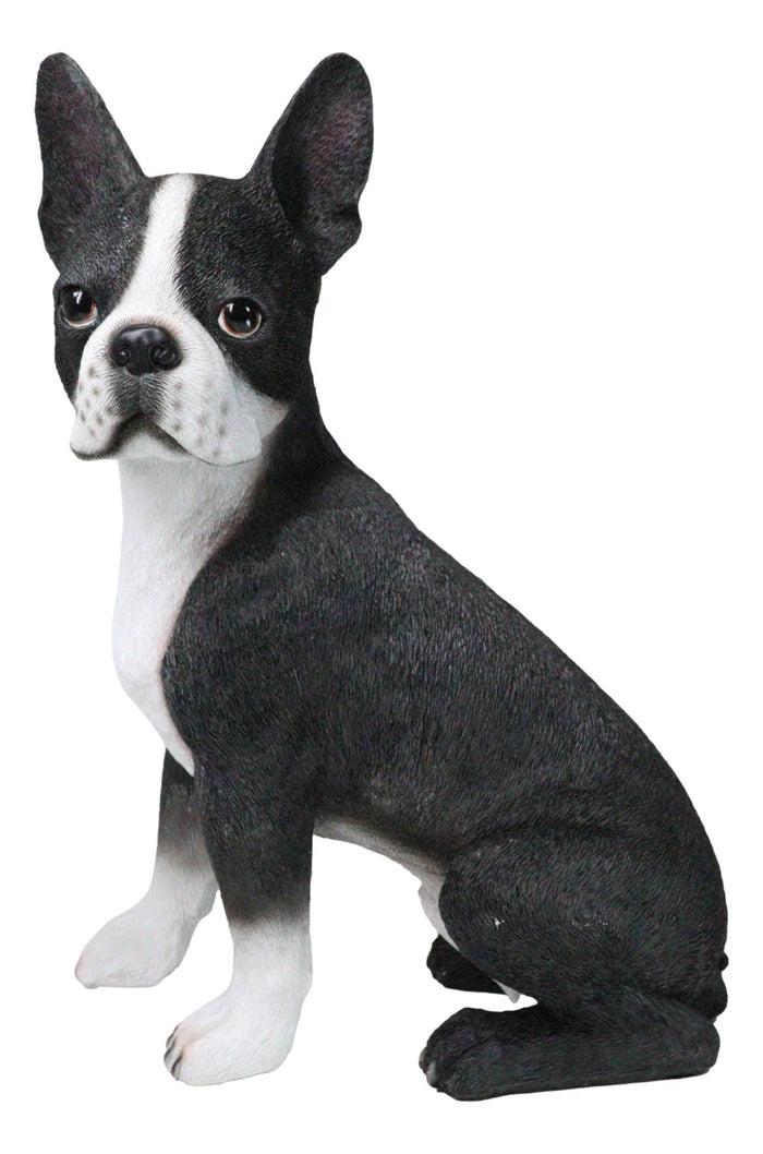 ebros gift Large Realistic Tuxedo Boston Terrier Statue 15"Tall Animal Dog Collectible