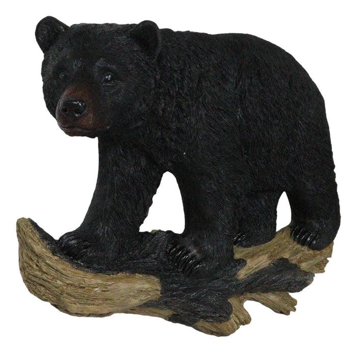 Ebros Gift Large Rustic Western Wildlife Black Bear On Tree Branch Wall Sculpture 21"L