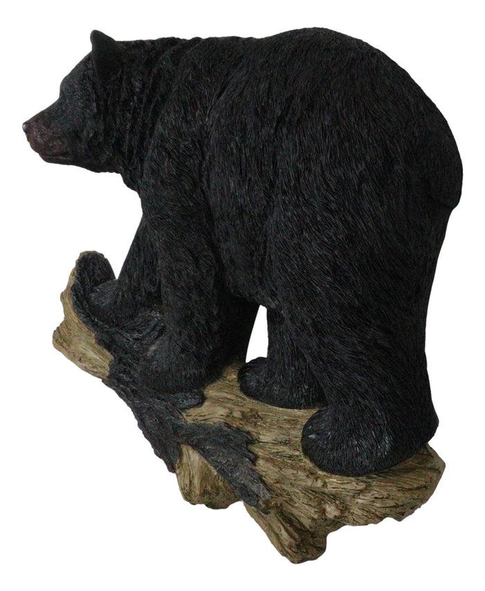 Ebros Gift Large Rustic Western Wildlife Black Bear On Tree Branch Wall Sculpture 21"L