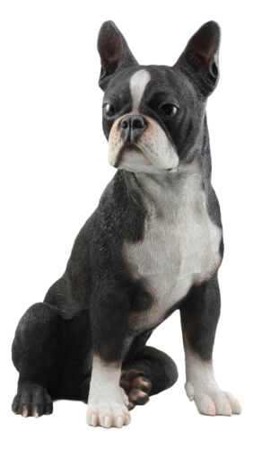 Ebros Gift Lifelike Adorable Boston Terrier Dog Statue 16"H Pedigree Dog With Glass Eyes