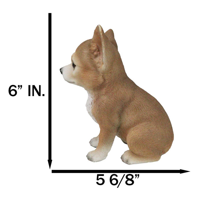 Ebros Gift Lifelike Adorable Deer Head Chihuahua Dog Puppy Sitting Home Decor Figurine