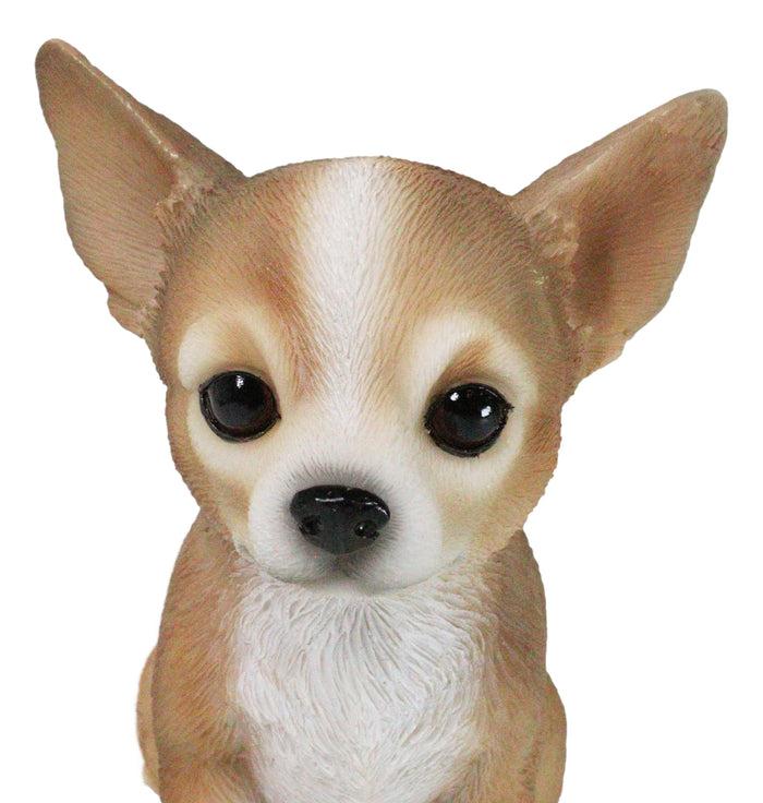 Ebros Gift Lifelike Adorable Deer Head Chihuahua Dog Puppy Sitting Home Decor Figurine